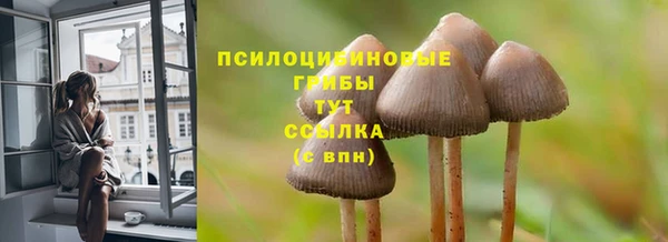 герыч Балахна