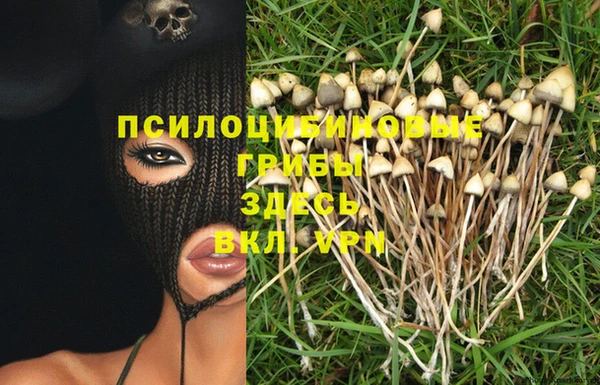 герыч Балахна