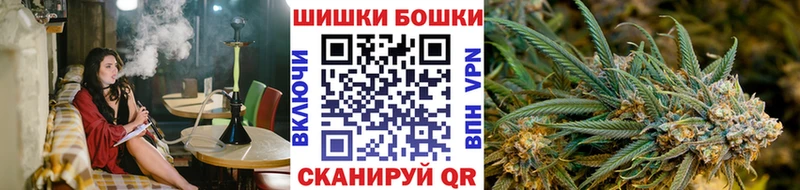 Конопля семена  купить наркотики цена  Новый Уренгой 